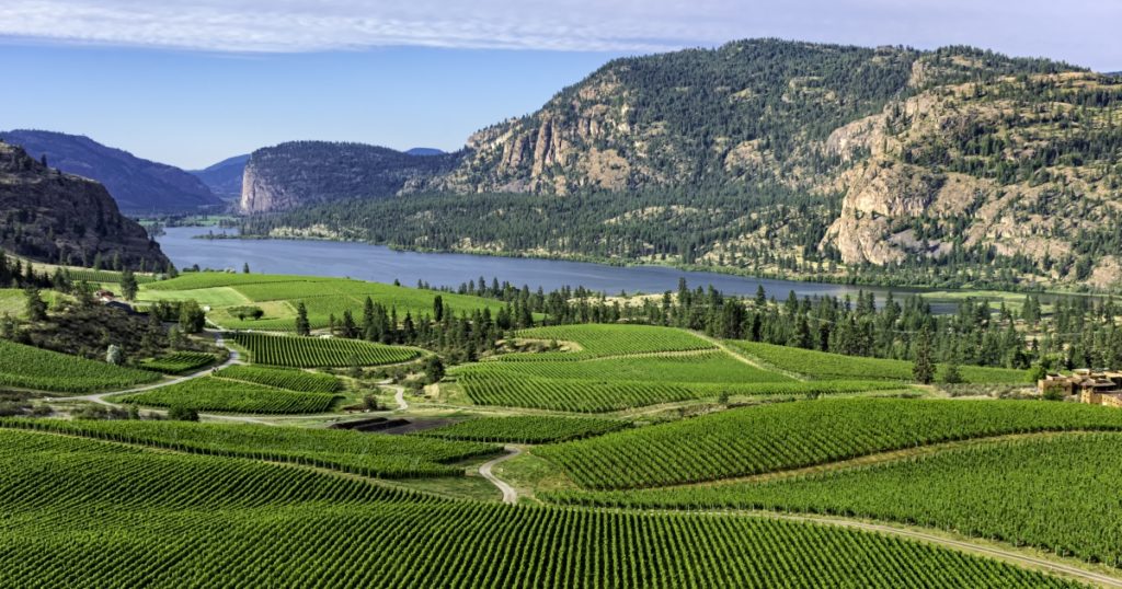 image of okanagan valley canada wine region source of your our winery Meritage (aka Bordeaux) wine
