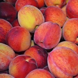 image of peaches for fruit flavored wines from your own winery