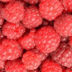 image of raspberries for fruit flavored wines from your own winery