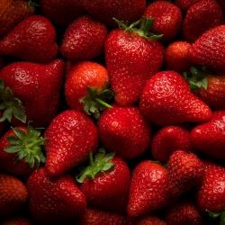 image of strawberries for fruit flavored wines from your own winery