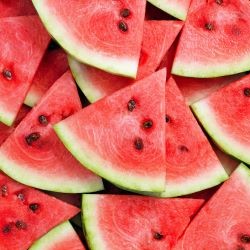 image of watermelons for fruit flavored wines from your own winery